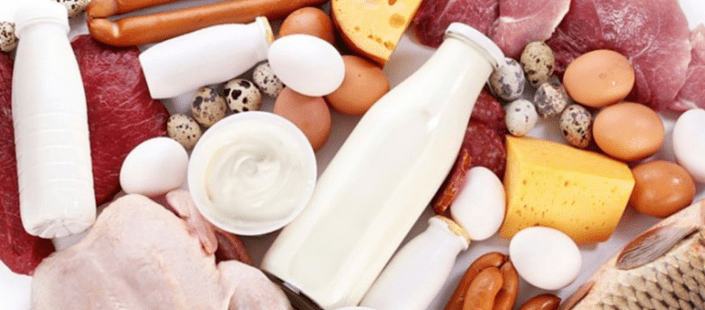 Ducana protein diet